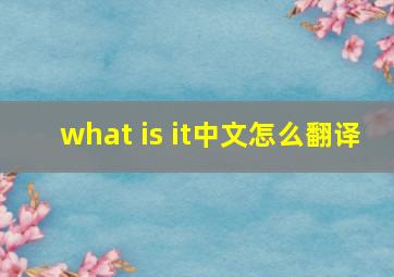 what is it中文怎么翻译